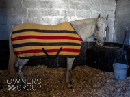 NH051025-97 - The Carpenter